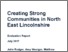 [thumbnail of Creating_Strong_Communities_in_North_East_Lincolnshire.pdf]